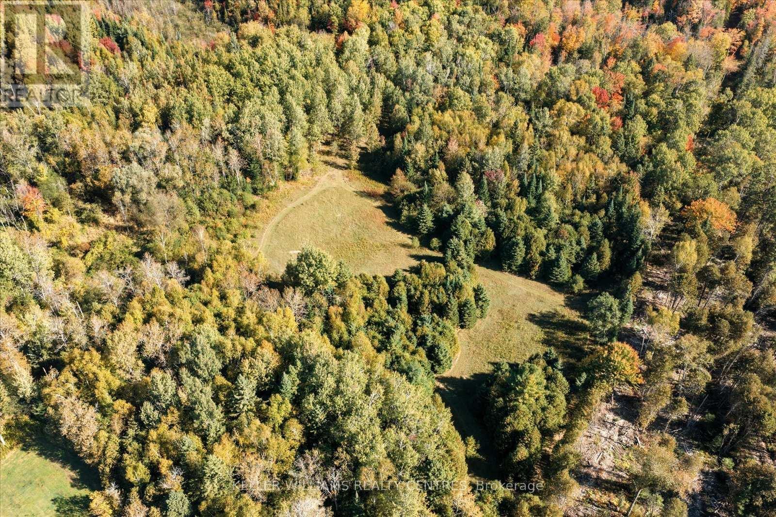 11601 Concession 3 Road, Uxbridge, ON - Outdoor With View