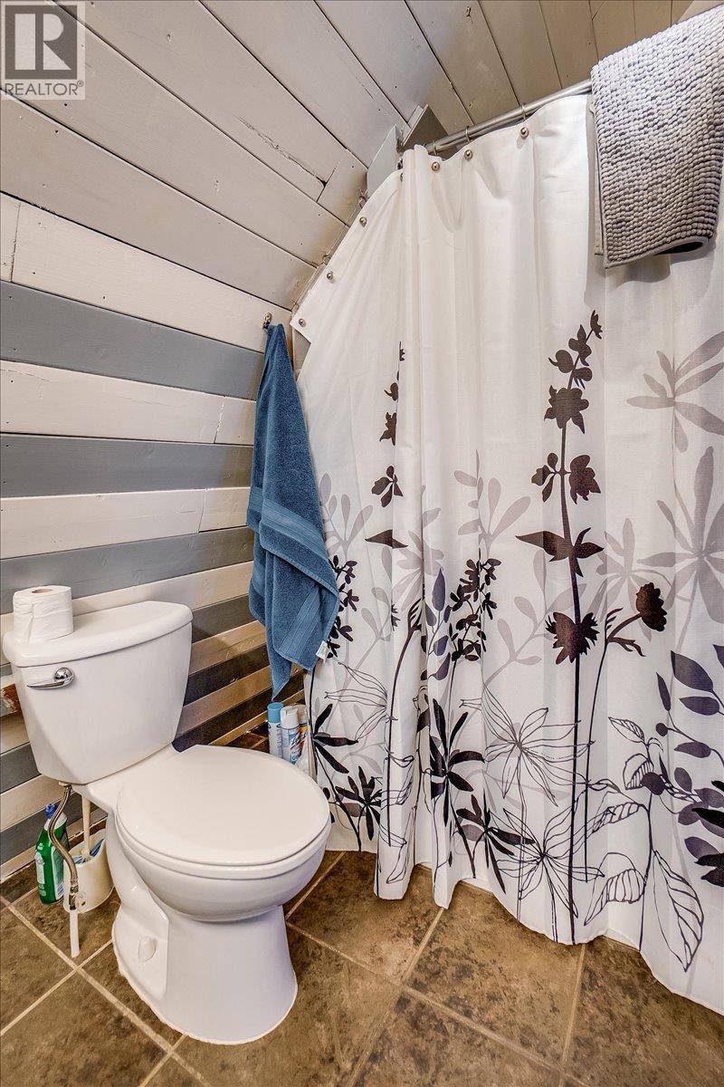 4453 Passmore Upper Road, Passmore, BC - Indoor Photo Showing Bathroom