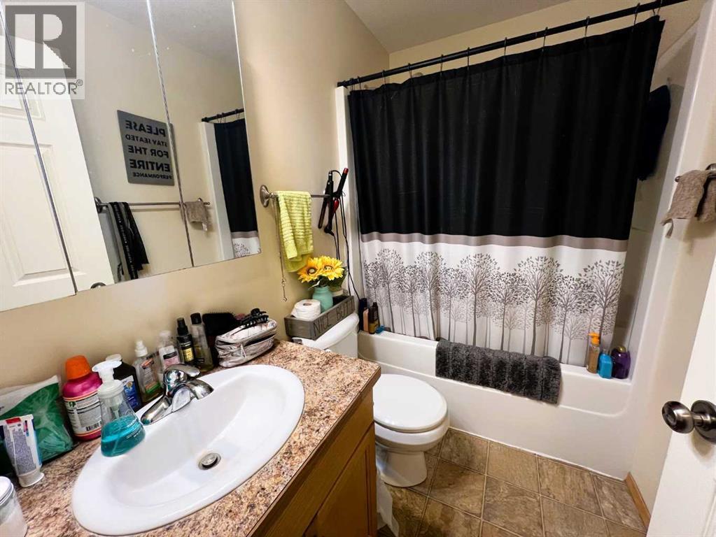 494 Hilton Crescent Ne, Medicine Hat, AB - Indoor Photo Showing Bathroom