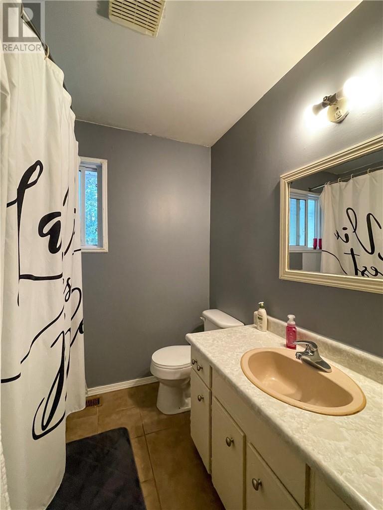 17 Clairmont Street, Sudbury, ON - Indoor Photo Showing Bathroom