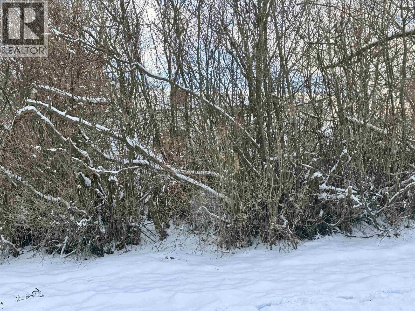 1410 Burden Street, Prince George, BC - Outdoor