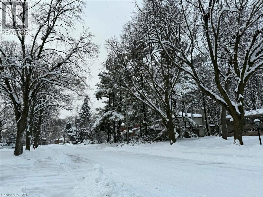 Winter views of the mature tree lined and sought after Woodside drive locale. - 29 Woodside Drive, Hamilton, ON - Outdoor