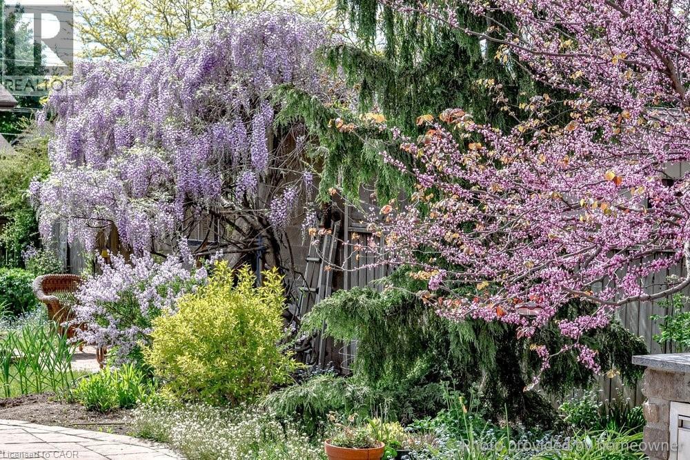 158 Ewen Road, Hamilton, ON - Outdoor