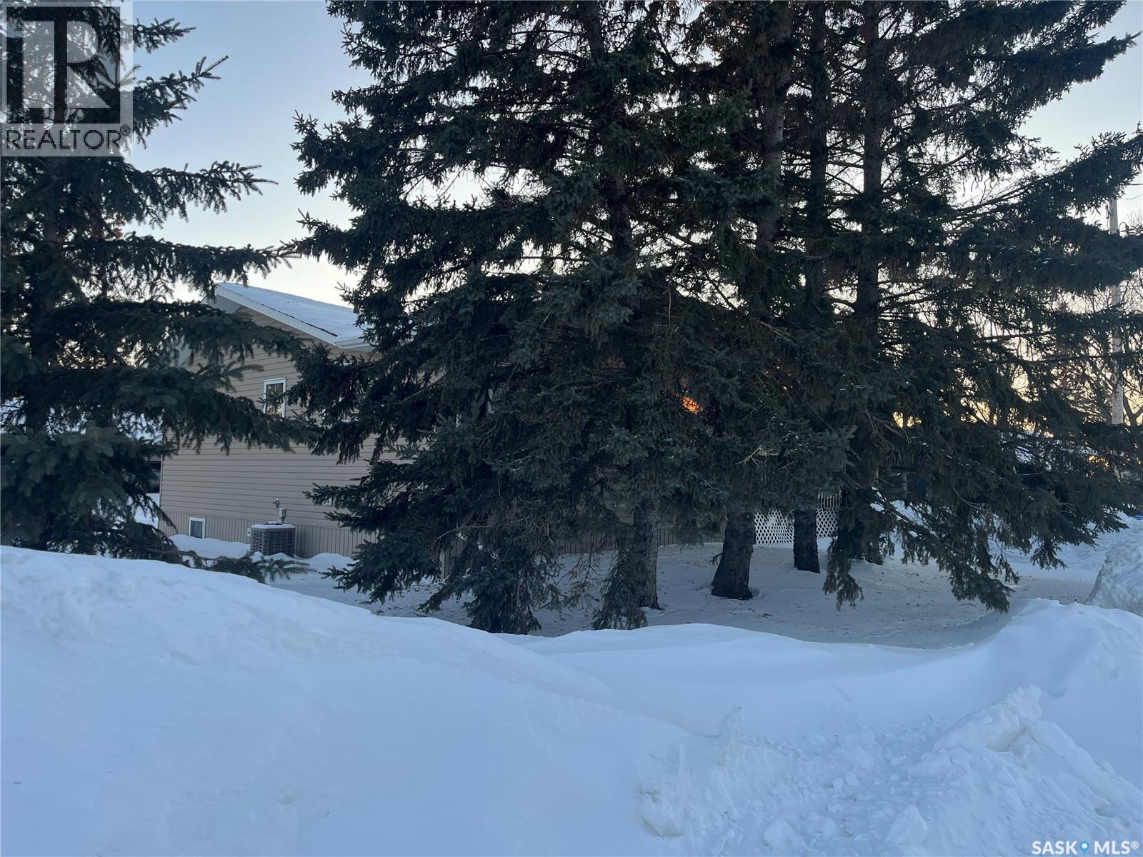 100 1St Avenue Sw, Wadena, SK - Outdoor