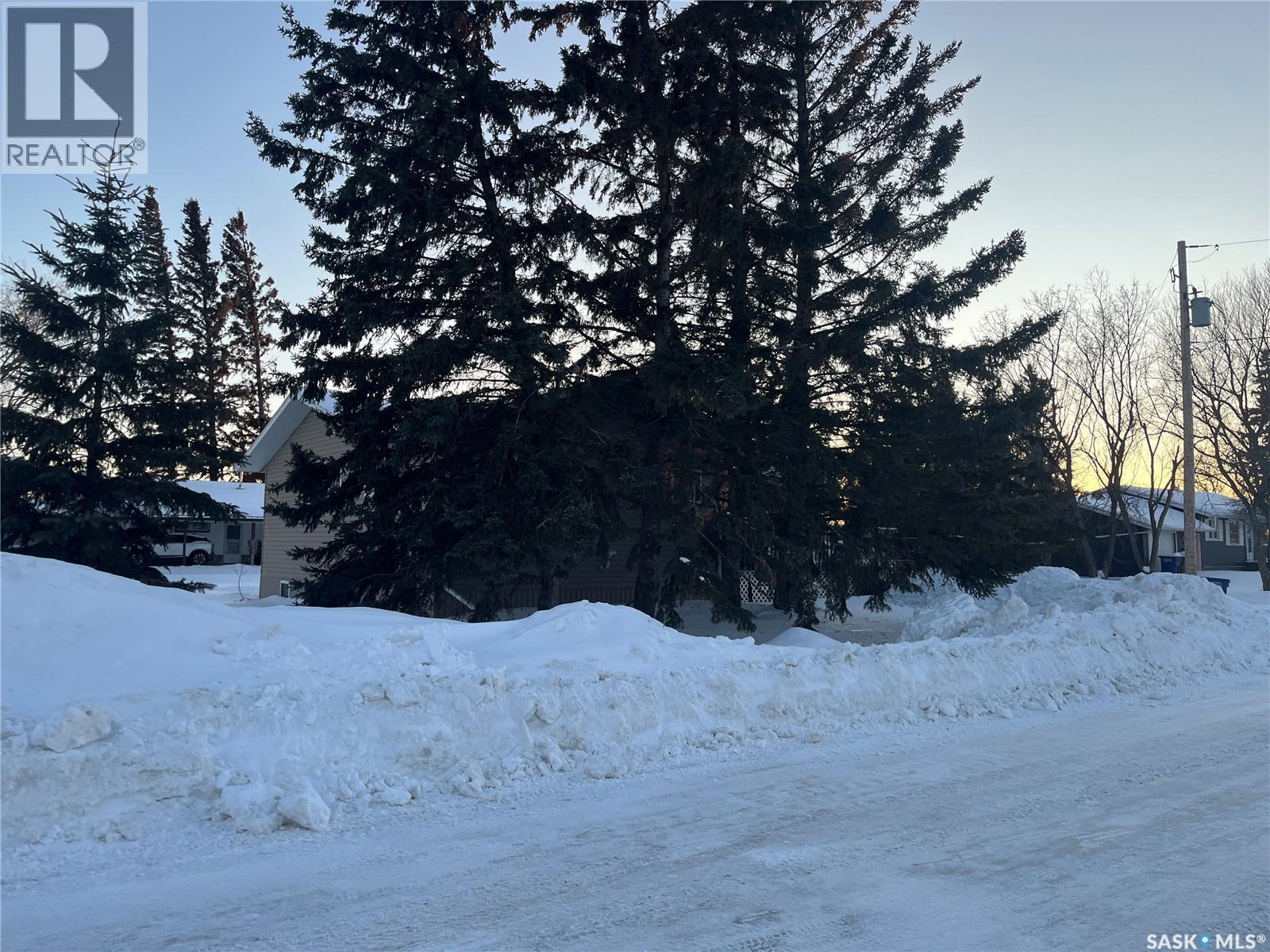 100 1St Avenue Sw, Wadena, SK - Outdoor