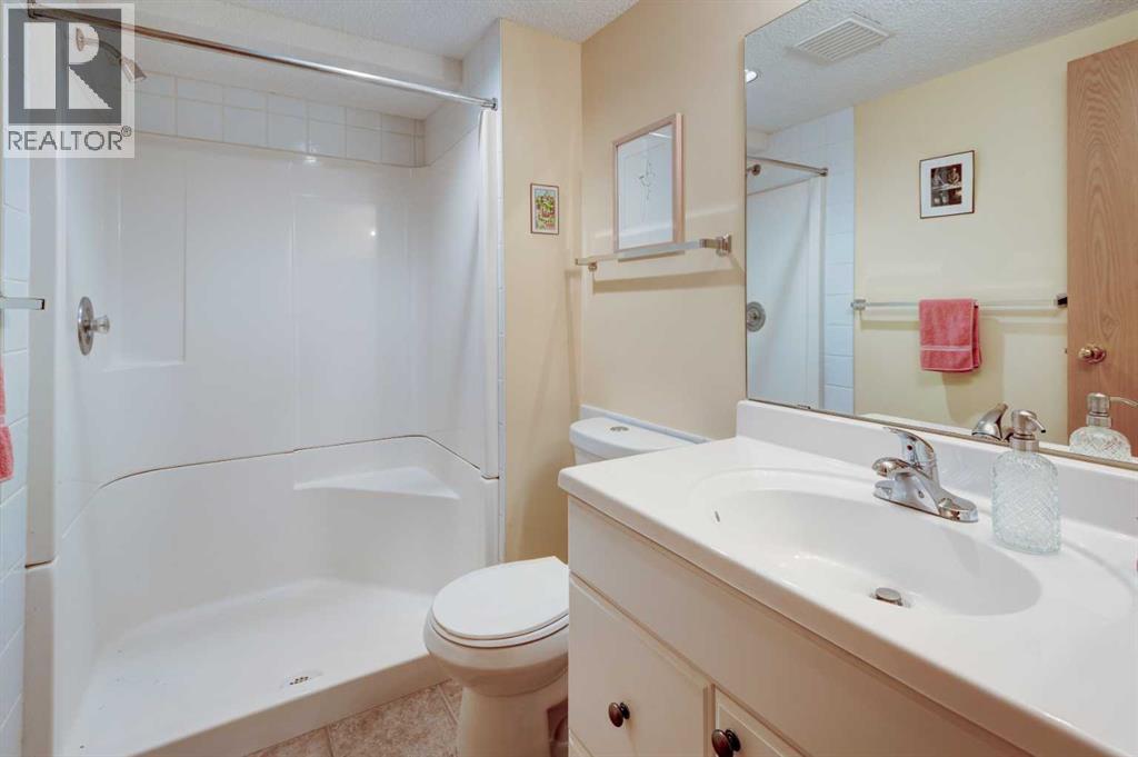 9 Mountain Place, Okotoks, AB - Indoor Photo Showing Bathroom