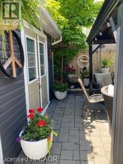 Backyard - Summer - 56 Tolton Avenue, Hamilton, ON - Outdoor With Exterior