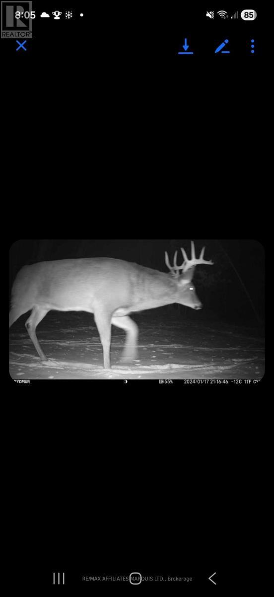 16119 Eamer Road, South Stormont, ON -