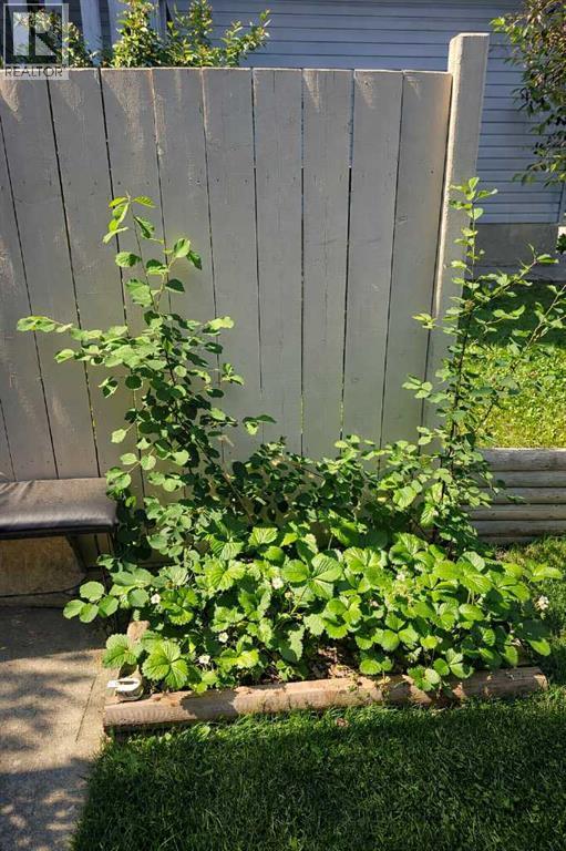 Berry Bushes - 9 Hidden Valley Crescent Nw, Calgary, AB - Outdoor