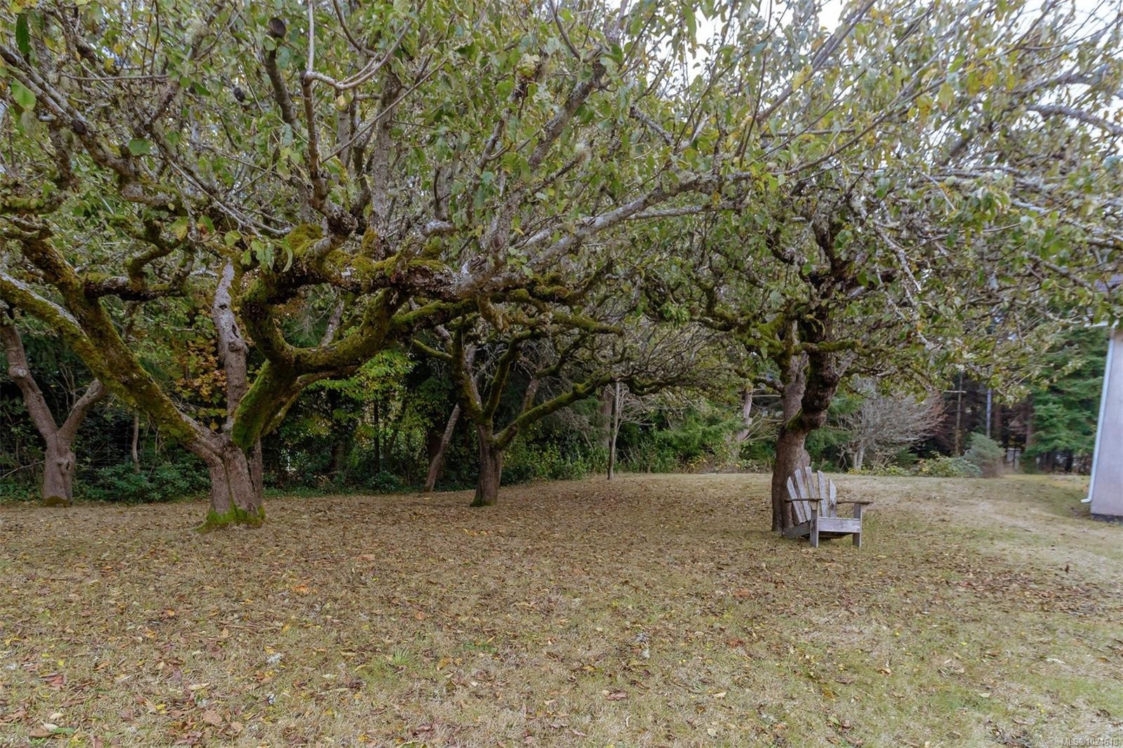 Lot 2 Sooke Rd, Sooke, BC - Outdoor