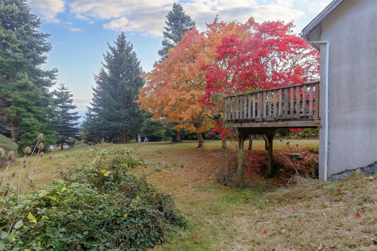 Lot 2 Sooke Rd, Sooke, BC - Outdoor