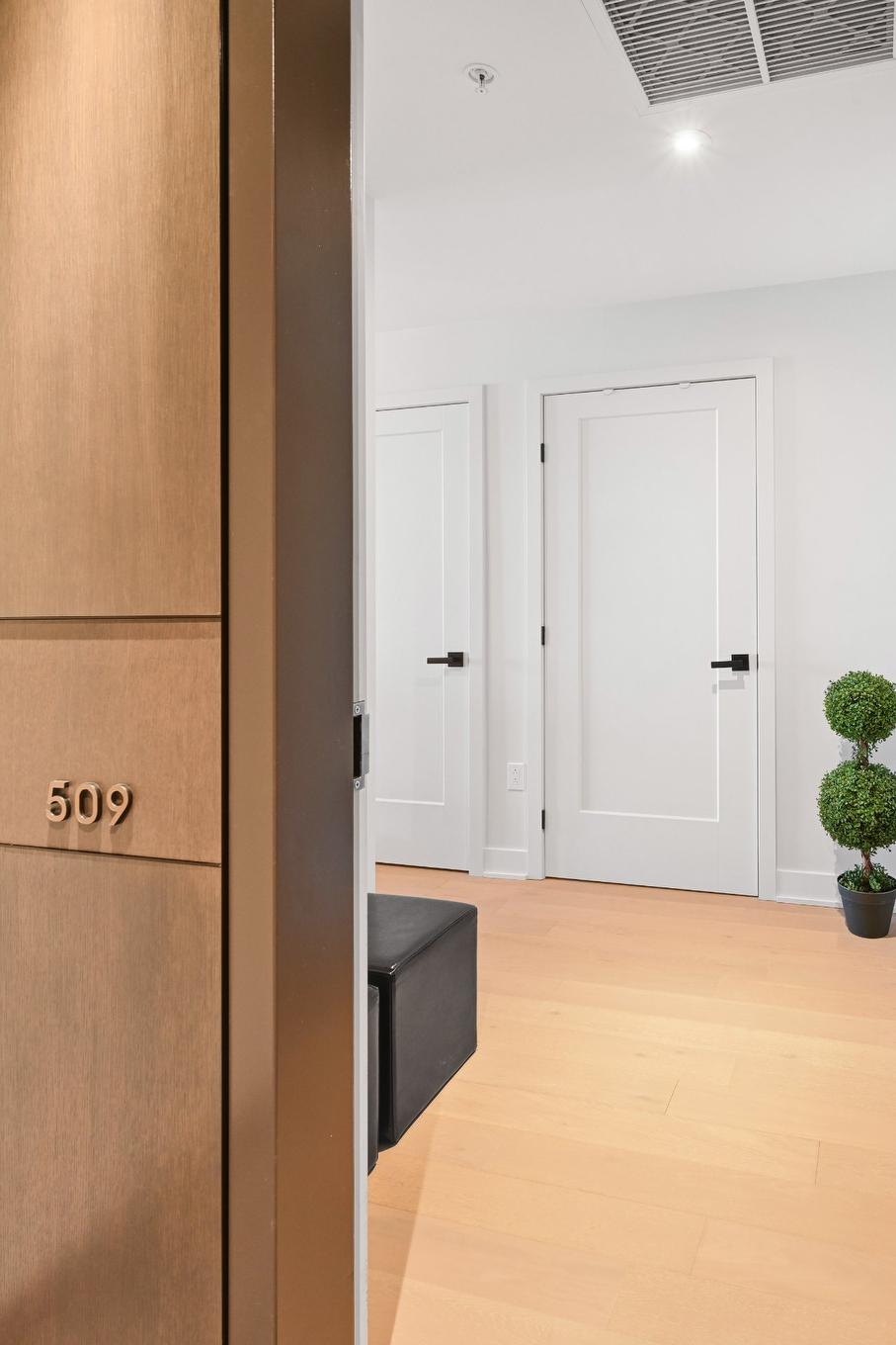 Hall d'entrée/Vestibule - 509-399 Rue De La Rotonde, Montréal (Verdun/Île-Des-Soeurs), QC - Indoor Photo Showing Other Room