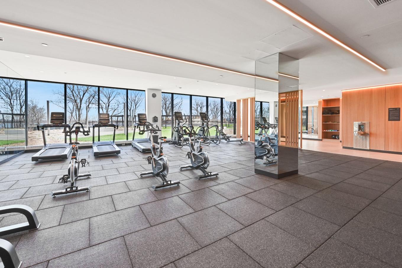 Salle d'exercice - 509-399 Rue De La Rotonde, Montréal (Verdun/Île-Des-Soeurs), QC - Indoor Photo Showing Gym Room