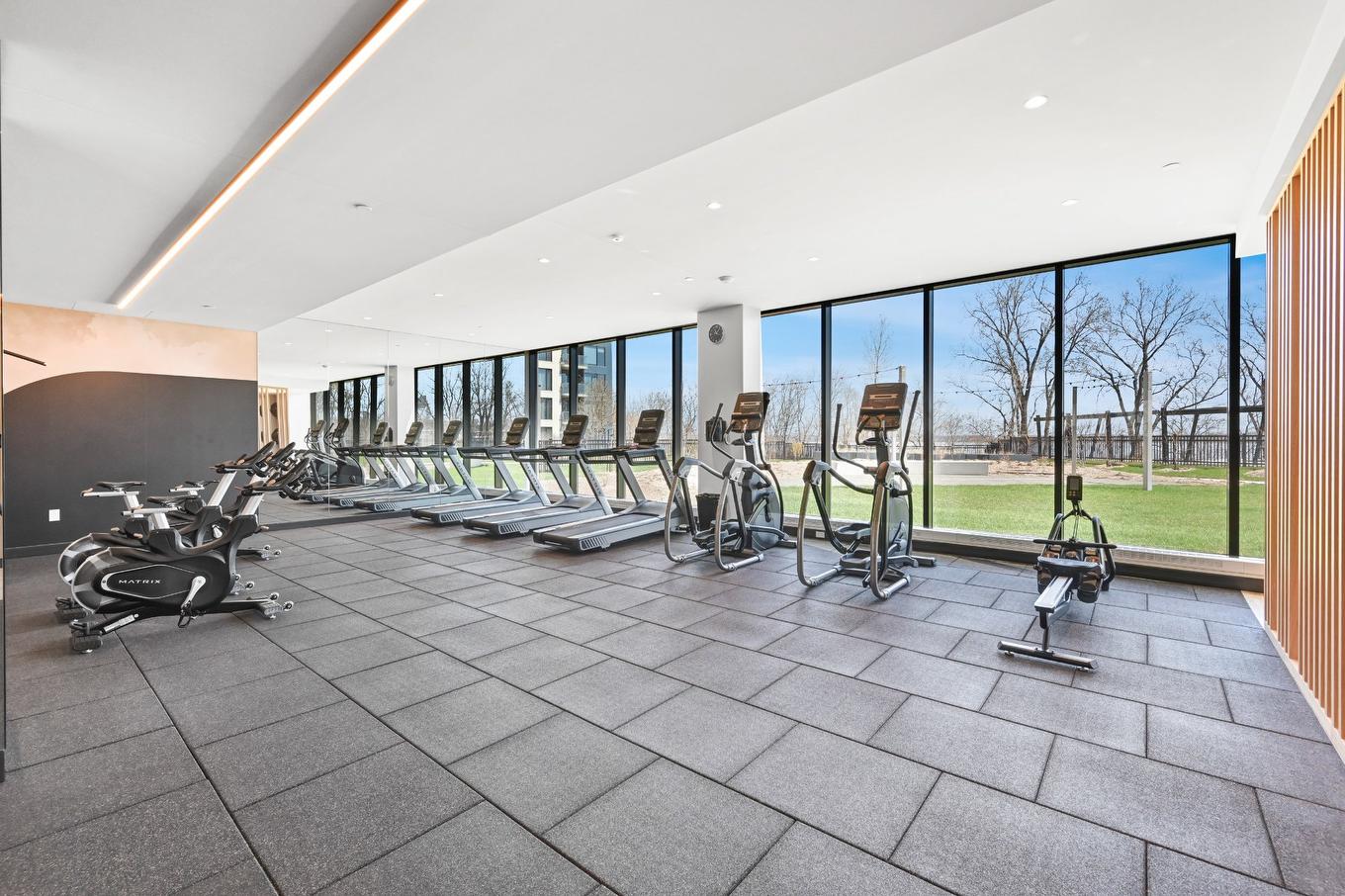 Salle d'exercice - 509-399 Rue De La Rotonde, Montréal (Verdun/Île-Des-Soeurs), QC - Indoor Photo Showing Gym Room