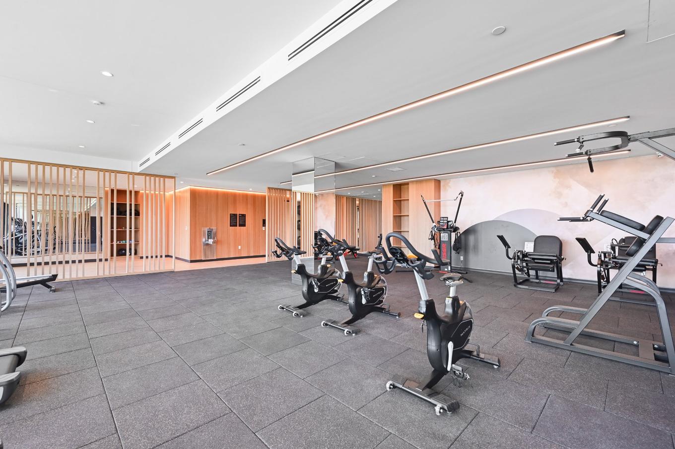 Salle d'exercice - 509-399 Rue De La Rotonde, Montréal (Verdun/Île-Des-Soeurs), QC - Indoor Photo Showing Gym Room