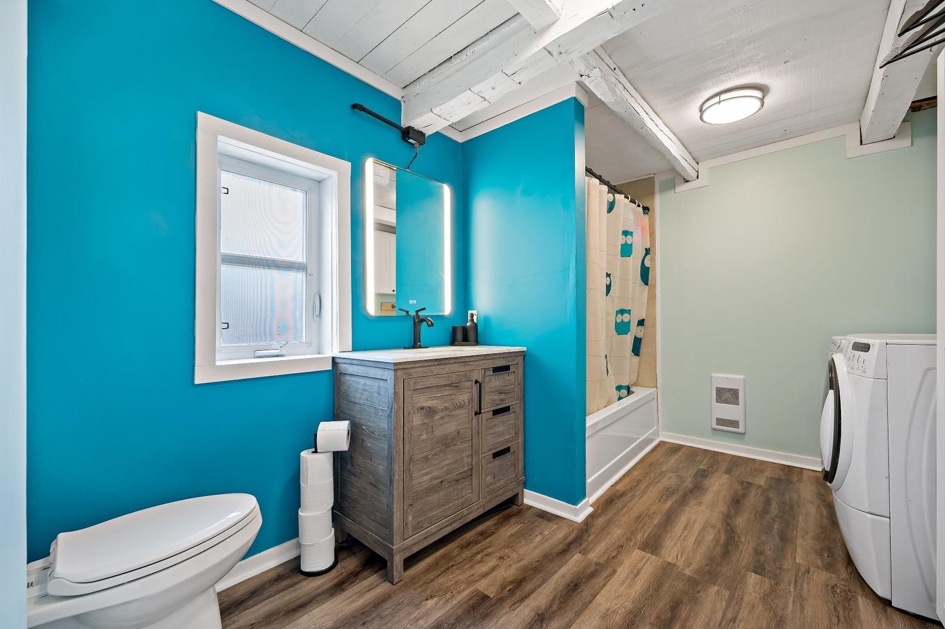 Bathroom - 101 Ch. Alary, Amherst, QC - Indoor