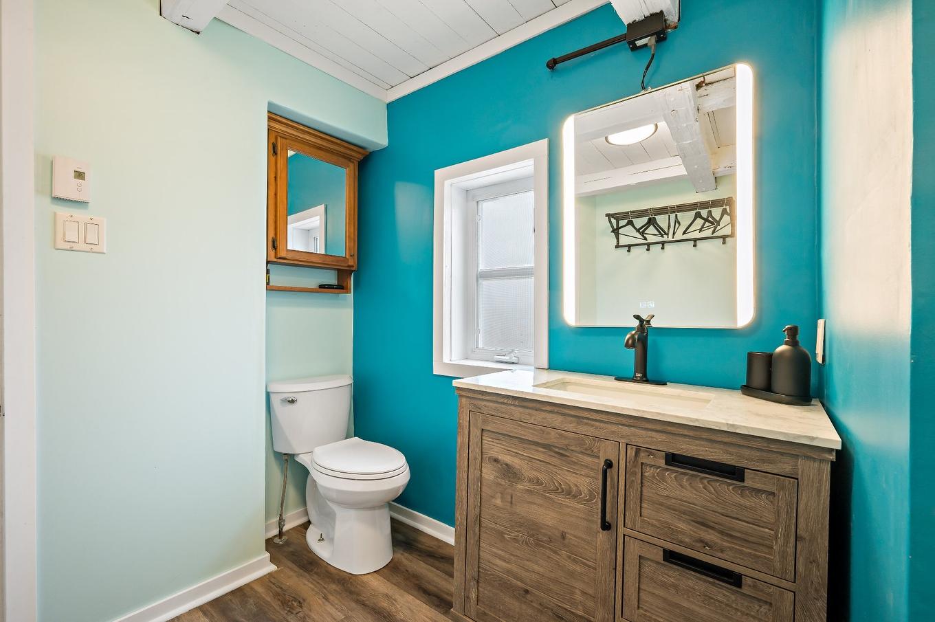 Bathroom - 101 Ch. Alary, Amherst, QC - Indoor Photo Showing Bathroom