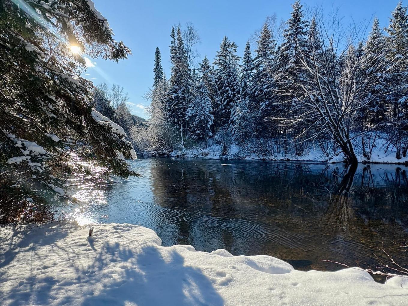 Waterfront - 101 Ch. Alary, Amherst, QC - Outdoor With View