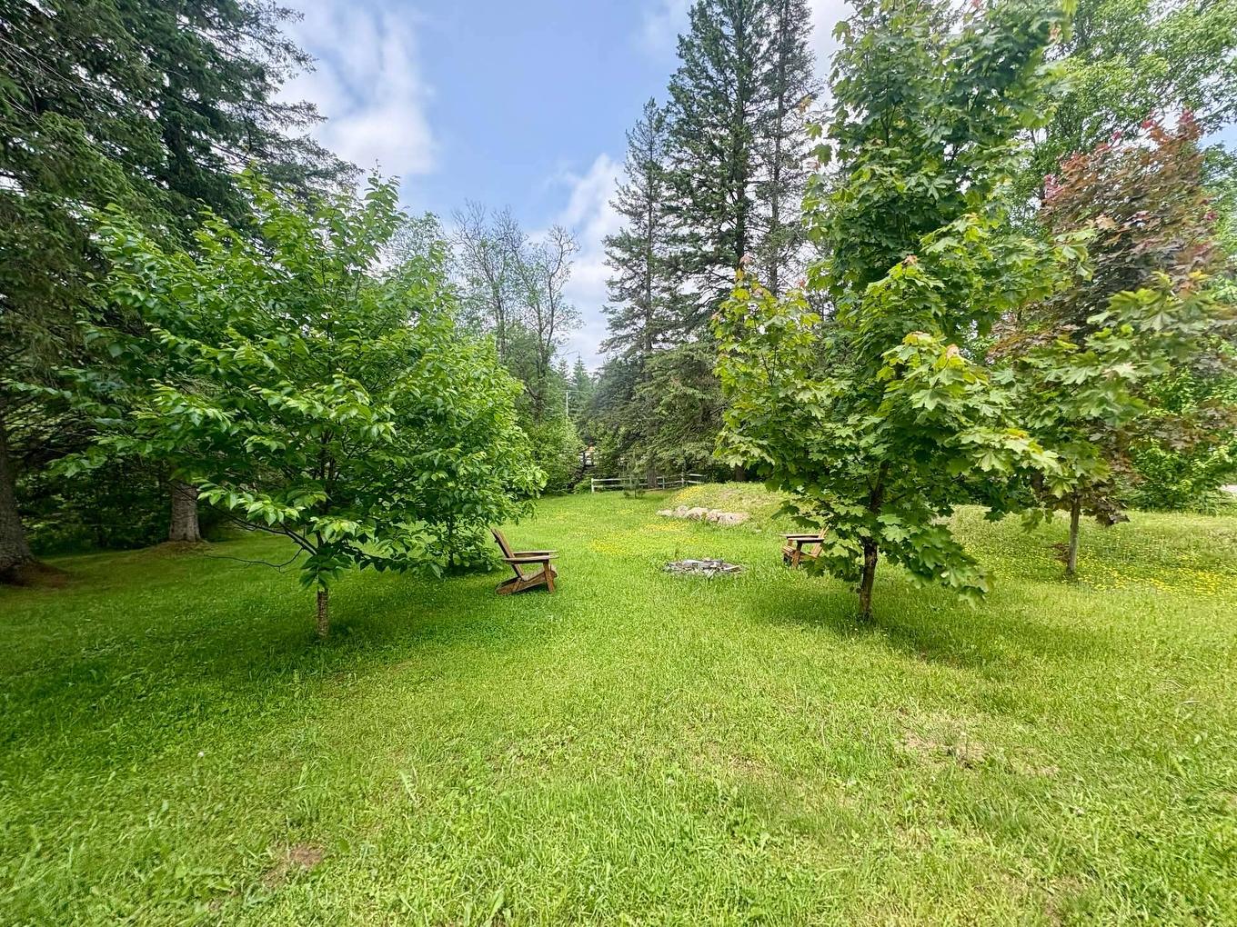 Land/Lot - 101 Ch. Alary, Amherst, QC - Outdoor