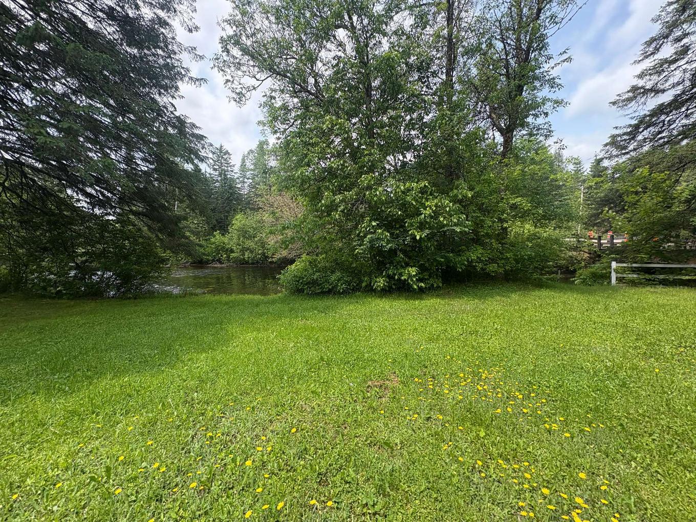 Land/Lot - 101 Ch. Alary, Amherst, QC - Outdoor