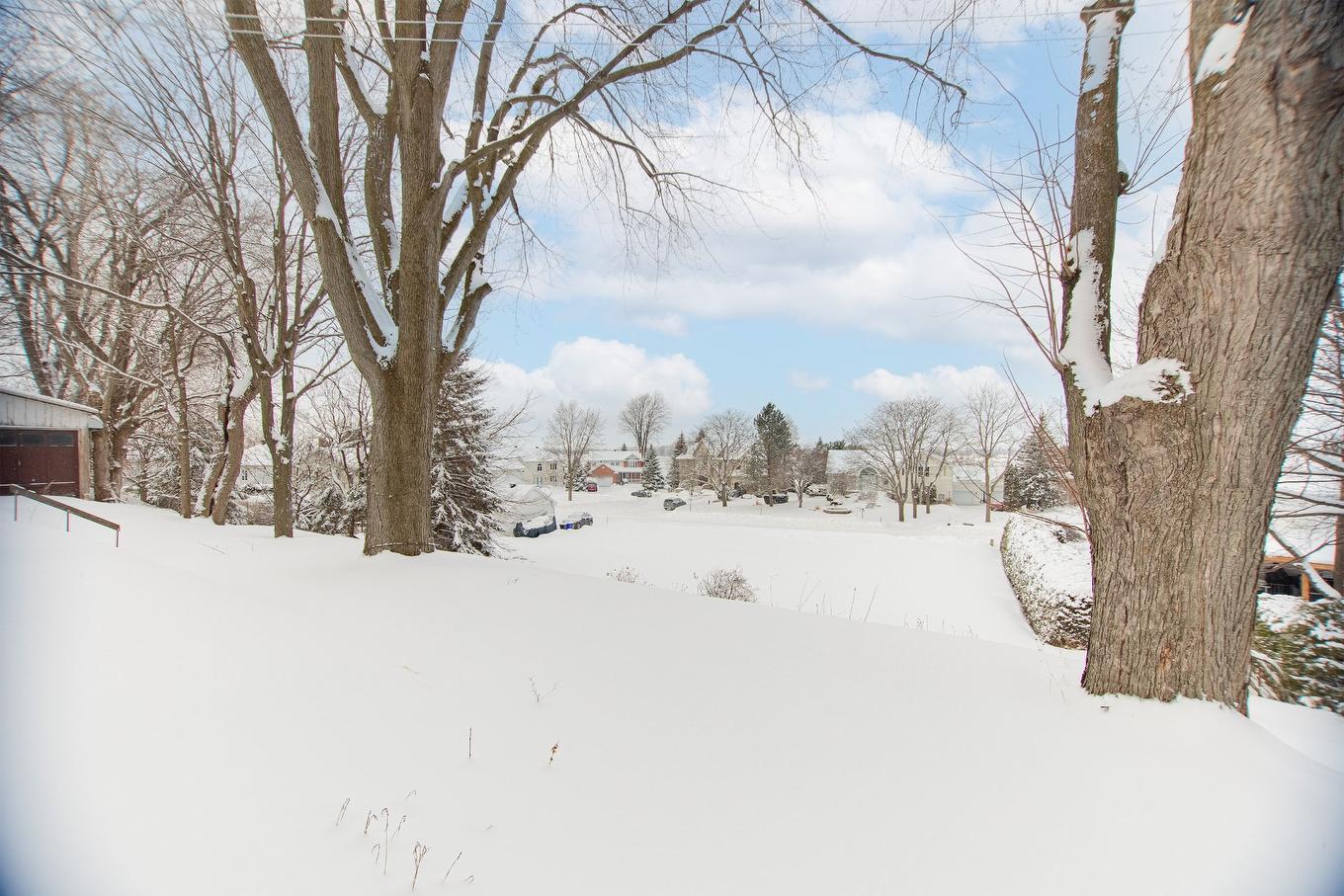 Cour - 377 Route Marie-Victorin, Verchères, QC - Outdoor