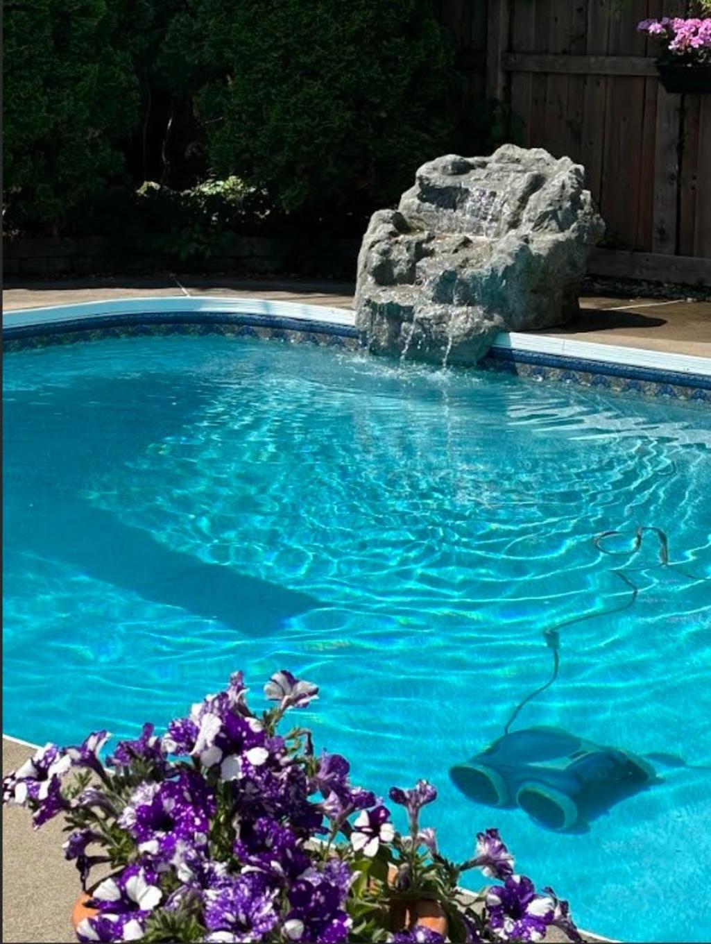 Piscine - 316 London Drive, Beaconsfield, QC - Outdoor With In Ground Pool With Backyard