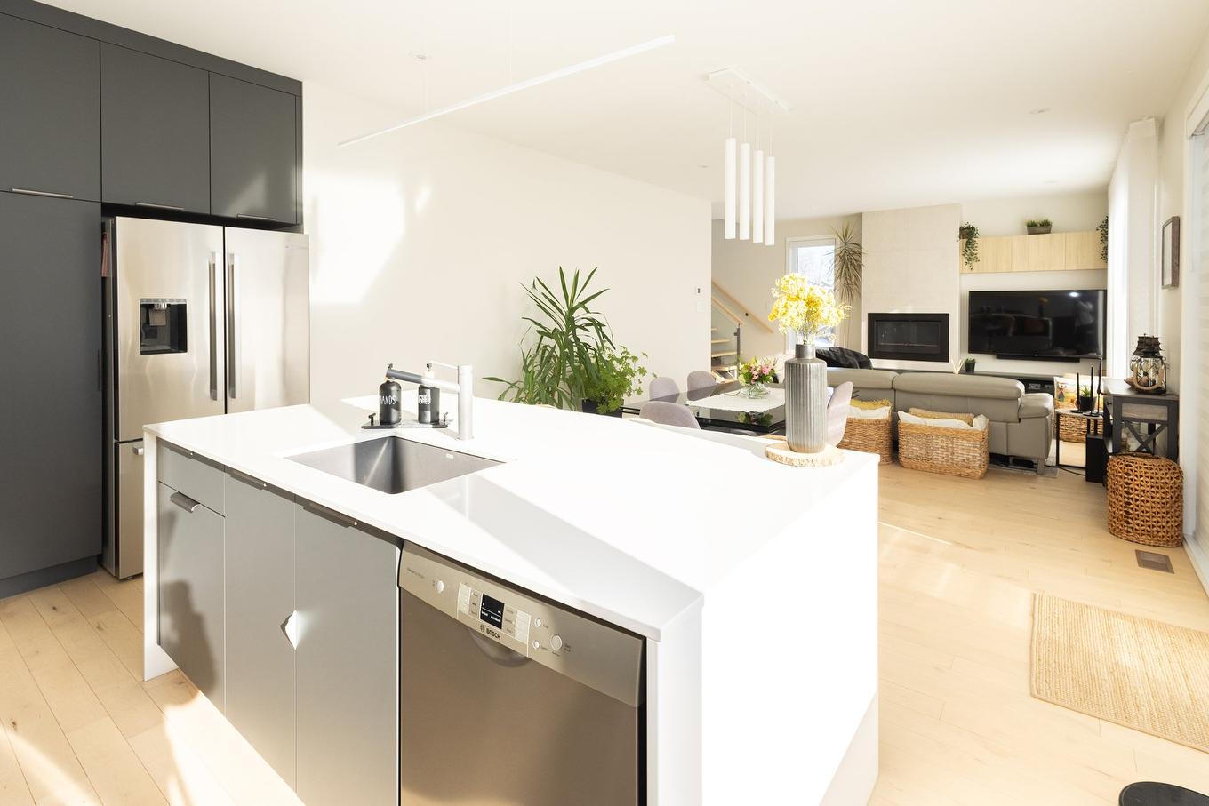 Cuisine - 744 Rue Paul-Doyon, Boucherville, QC - Indoor Photo Showing Kitchen With Double Sink
