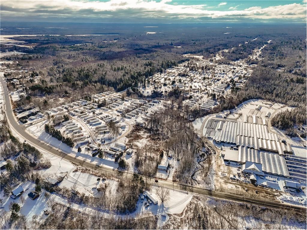 6 Roy St, Lincoln, NB