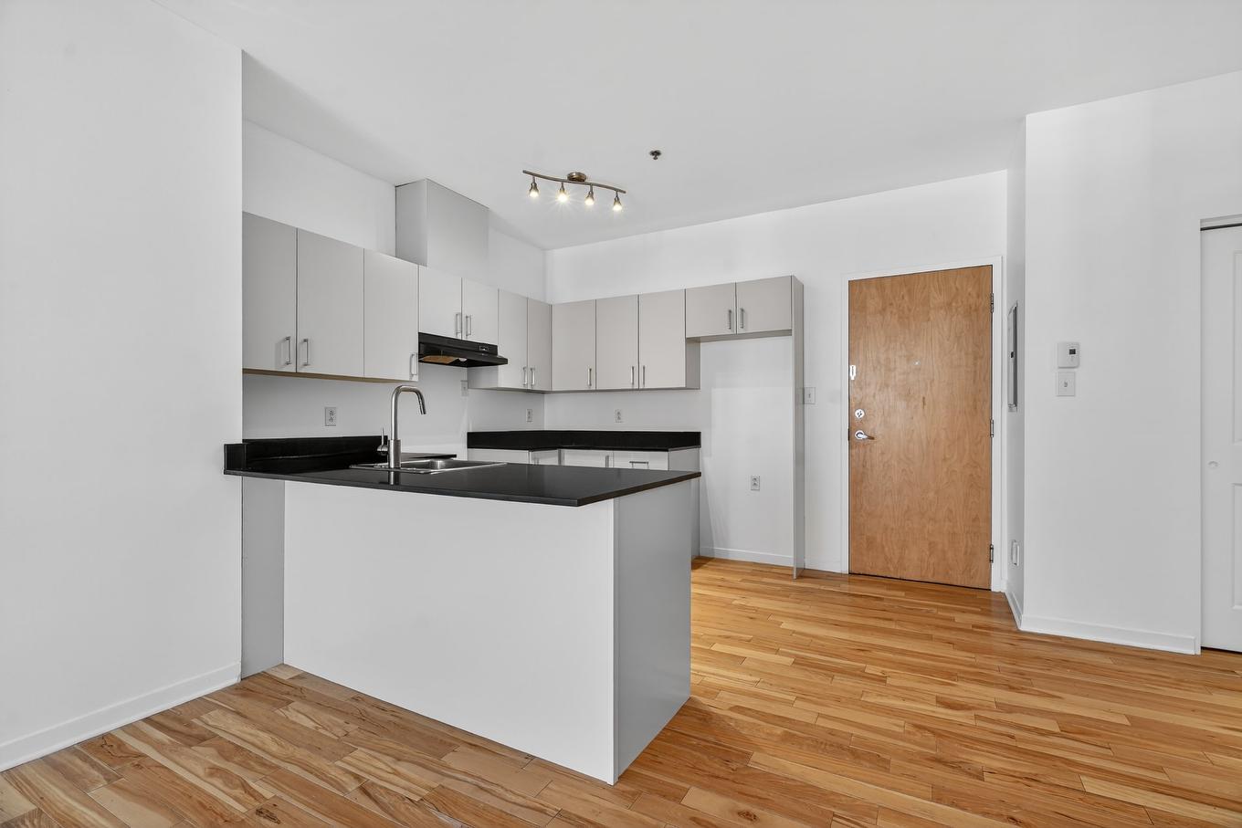 Kitchen - 201-3775 Rue Ontario E., Montréal (Mercier/Hochelaga-Maisonneuve), QC - Indoor Photo Showing Kitchen