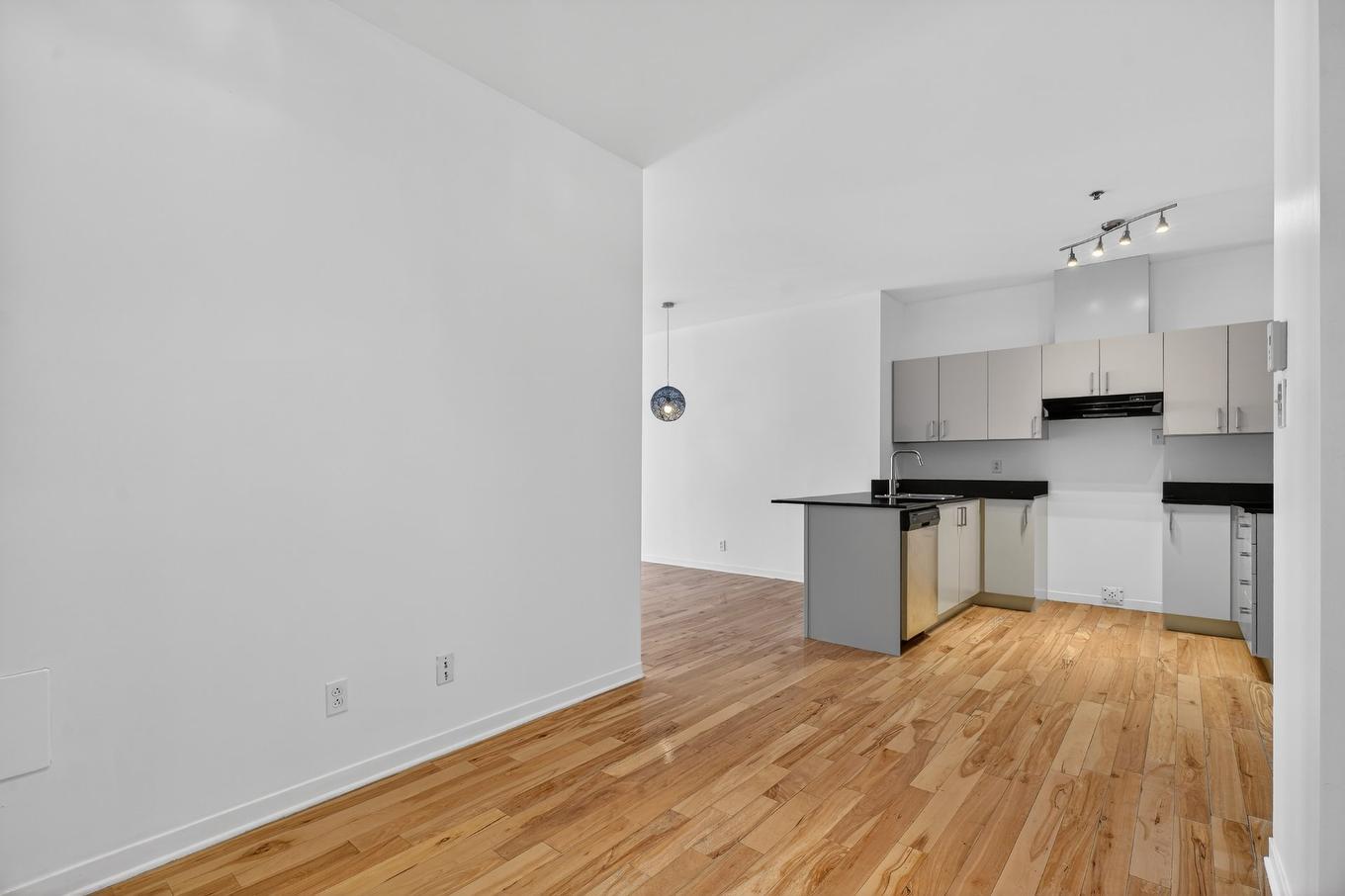 Office - 201-3775 Rue Ontario E., Montréal (Mercier/Hochelaga-Maisonneuve), QC - Indoor Photo Showing Kitchen