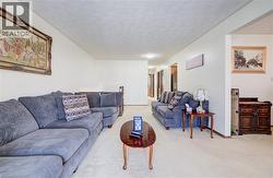 Living room featuring carpet flooring and a textured ceiling -