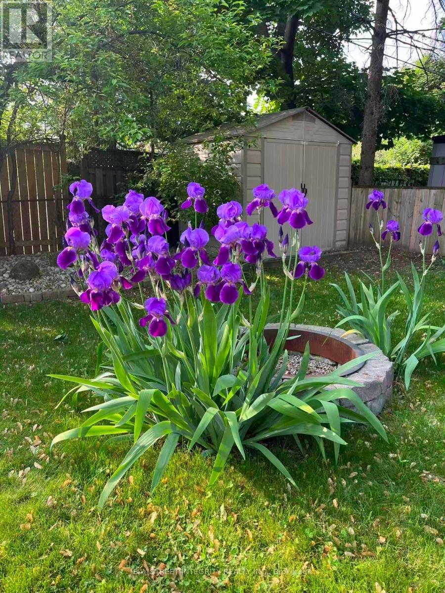 1224 Grange Road, Oakville, ON - Outdoor