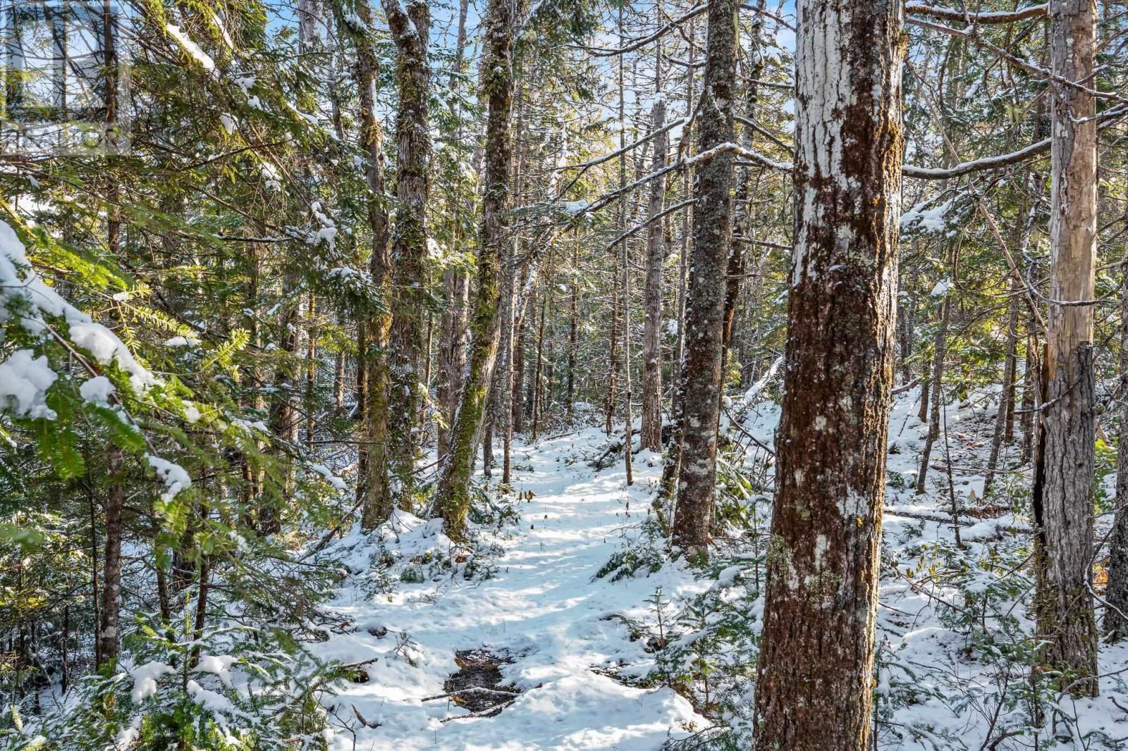 Lot 2 Stamping Mill Lane, Chester Basin, NS