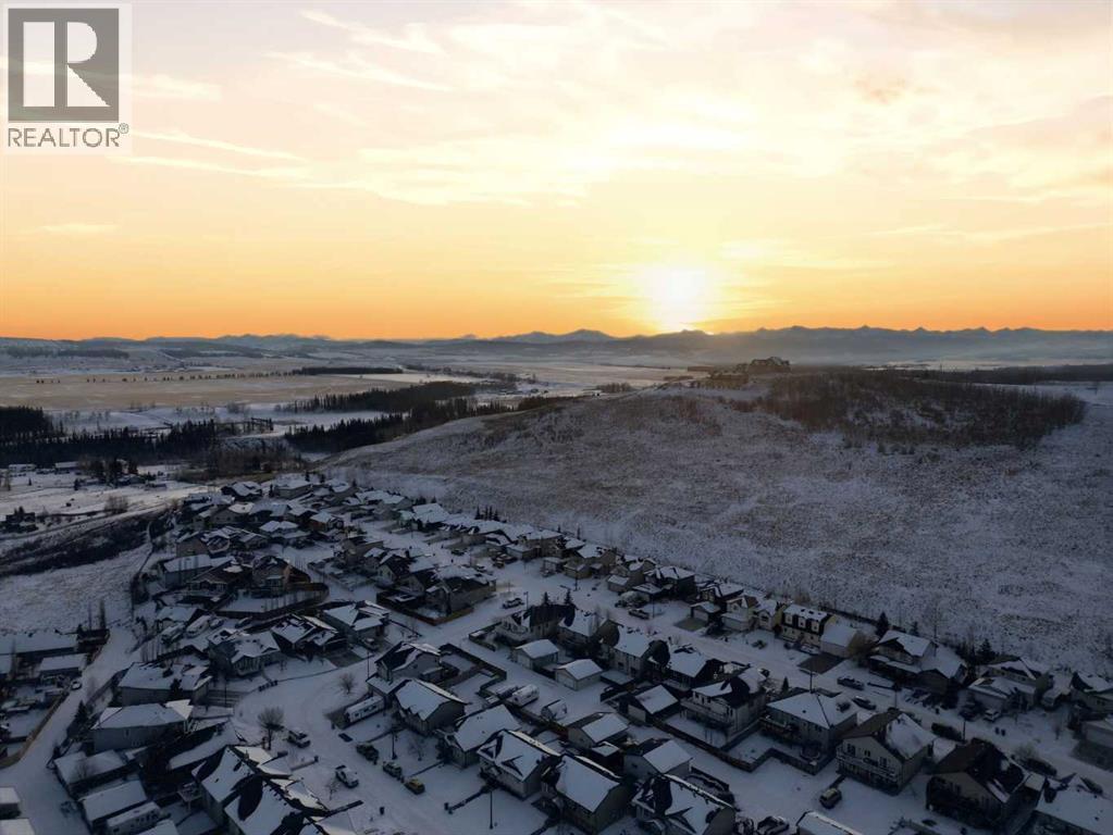 311 Mcleod Crescent, Diamond Valley, AB - Outdoor With View