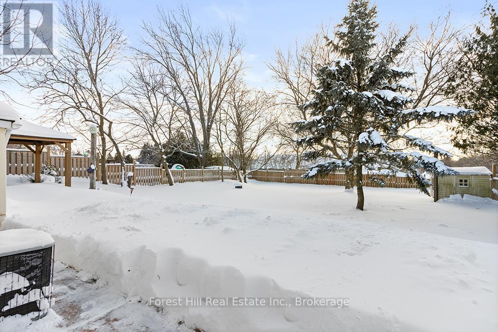 Spacious back yard - 58 Edith Avenue, Grey Highlands, ON - Outdoor