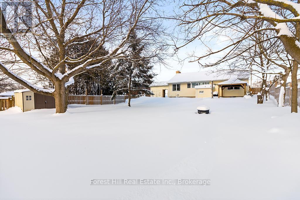 Lots of room for kids and pets - 58 Edith Avenue, Grey Highlands, ON - Other