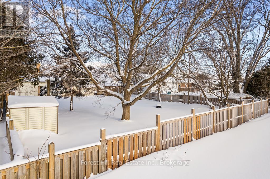 Fully fenced back yard - 58 Edith Avenue, Grey Highlands, ON - Outdoor