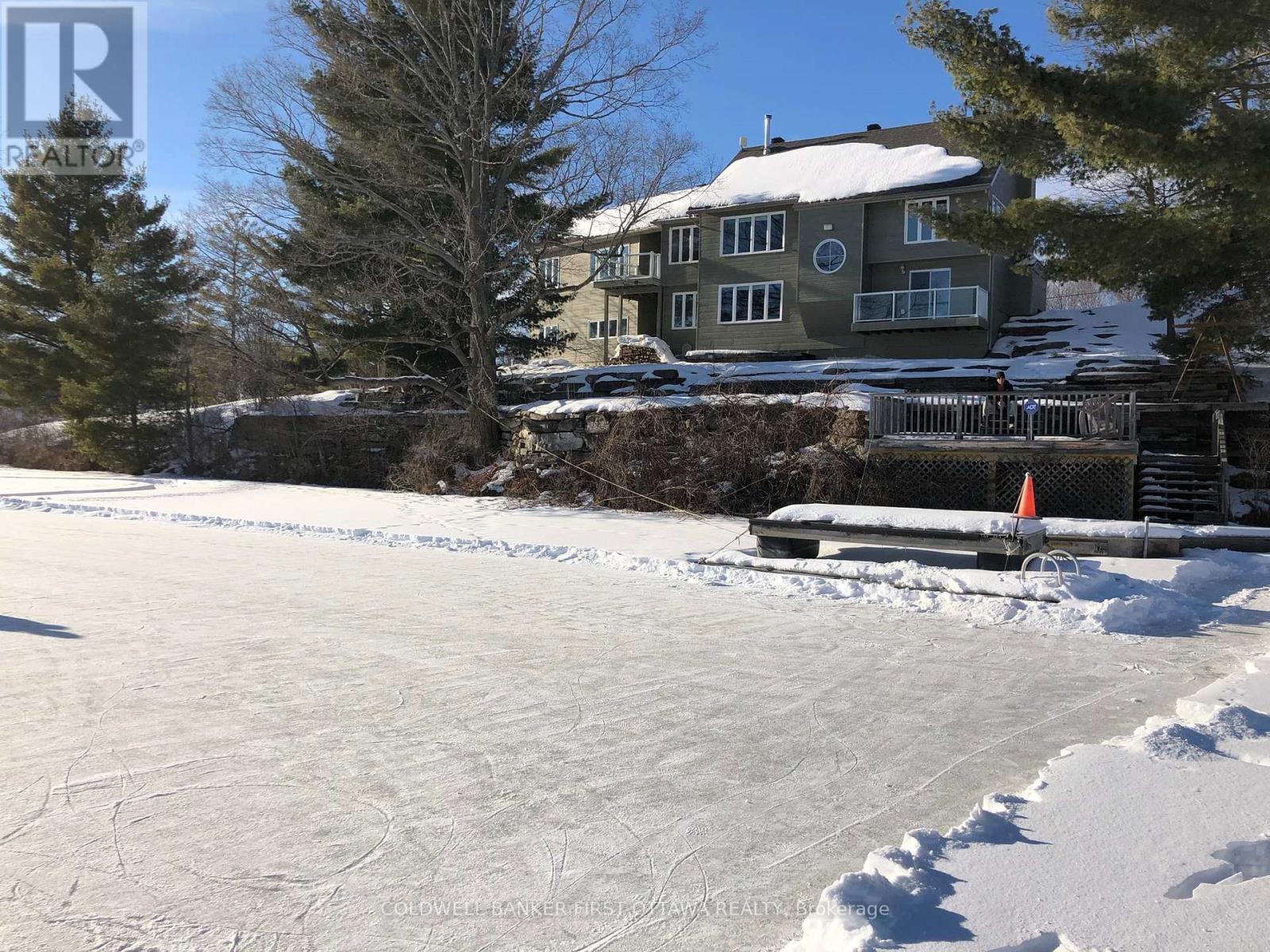 Winter of fun, skating on the lake - 100 Nagle Way, Tay Valley, ON - Outdoor