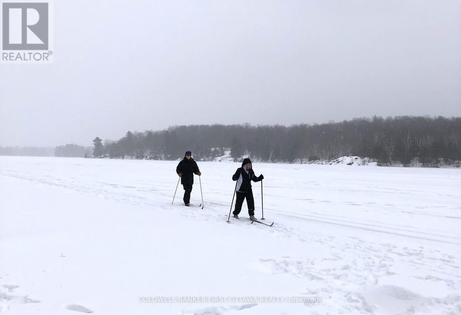 ...or, enjoy cross country skiing on the lake - 100 Nagle Way, Tay Valley, ON - With View