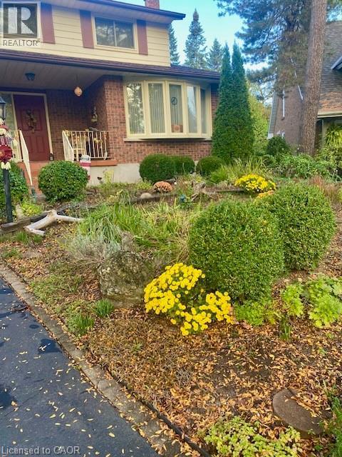 View of front of property featuring brick siding, a chimney, and covered porch - 32 Brookview Court, Kitchener, ON - Outdoor