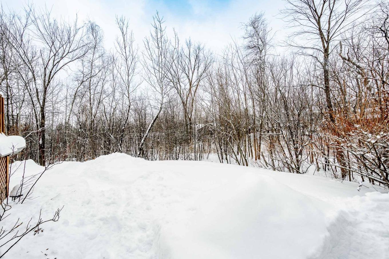 Land/Lot - 70 Rue Raymond-Auger, Sherbrooke (Brompton/Rock Forest/Saint-Élie/Deauville), QC - Outdoor
