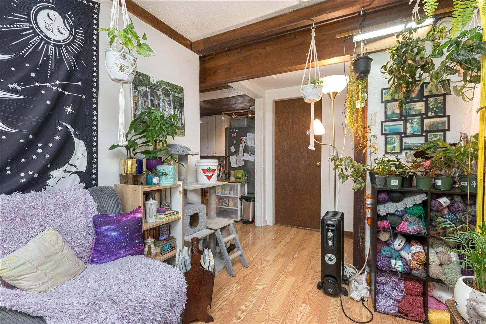 1645 Haultain St, Victoria, BC