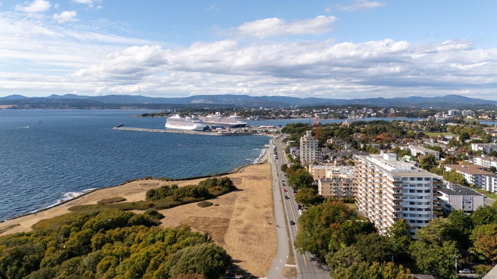 3-555 Niagara St, Victoria, BC