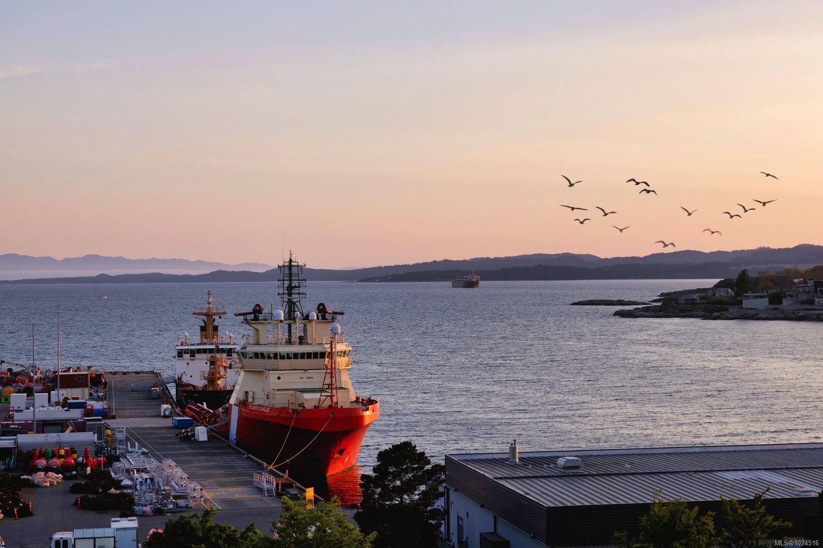 3-555 Niagara St, Victoria, BC