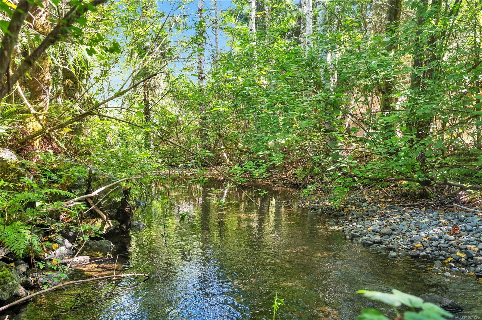 1260 Sayward Rd, Sayward, BC - Outdoor