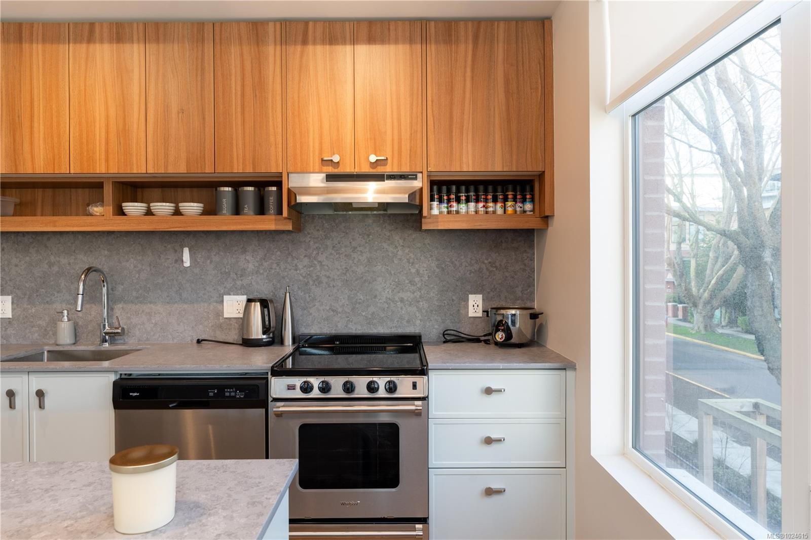 206-629 Speed Ave, Victoria, BC - Indoor Photo Showing Kitchen With Stainless Steel Kitchen With Upgraded Kitchen