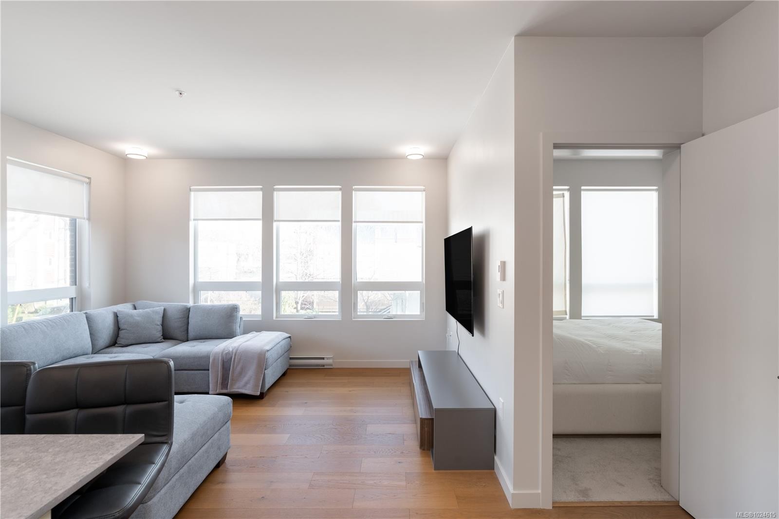 206-629 Speed Ave, Victoria, BC - Indoor Photo Showing Living Room