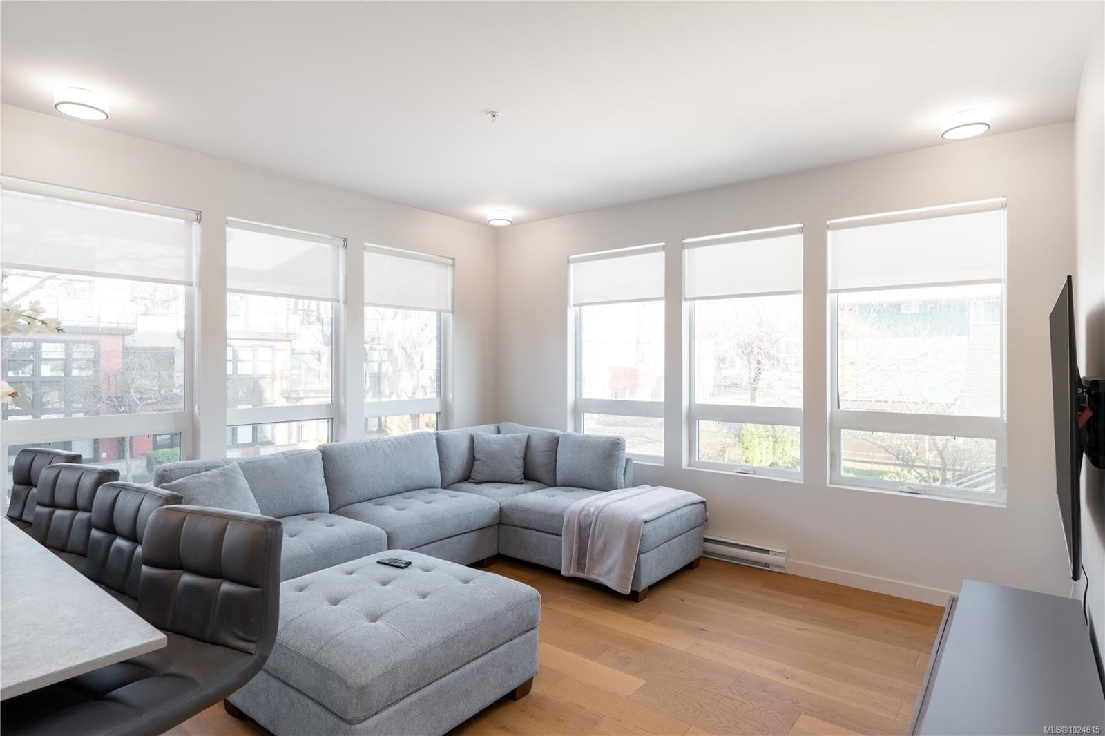 206-629 Speed Ave, Victoria, BC - Indoor Photo Showing Living Room
