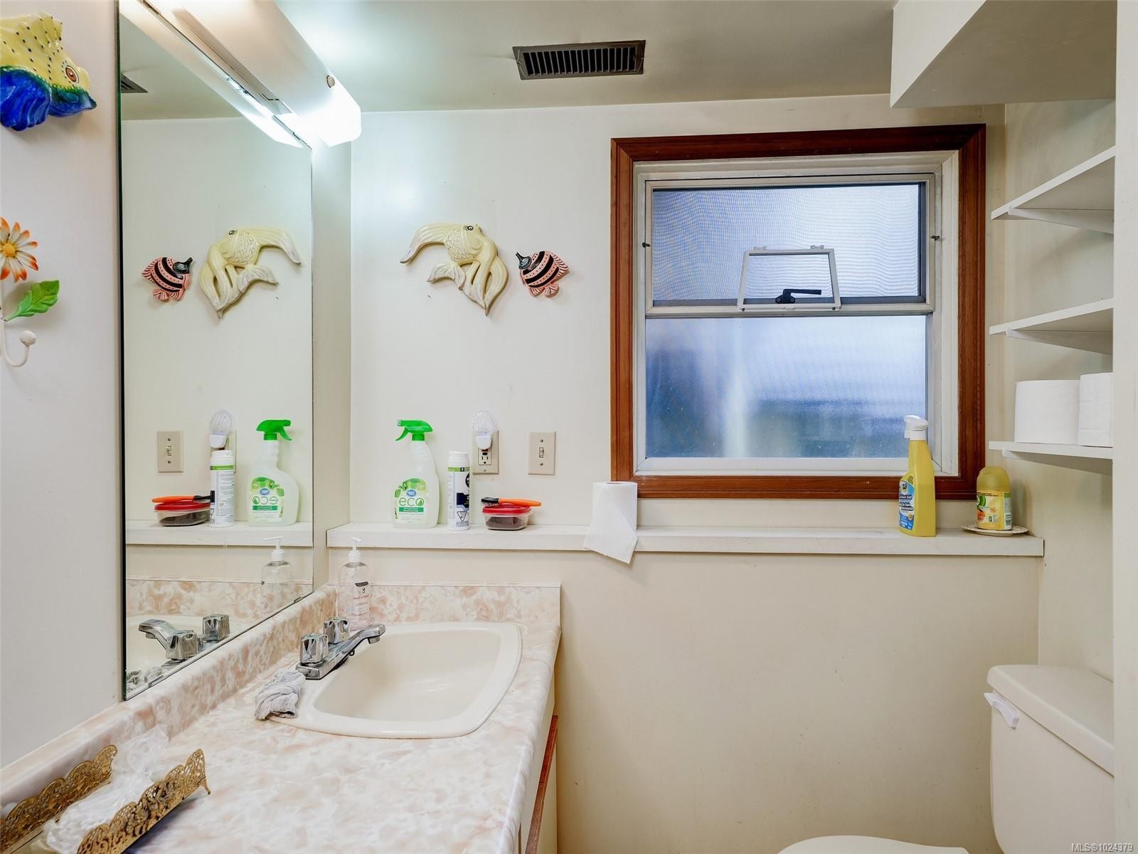 24 Gorge Rd East, Victoria, BC