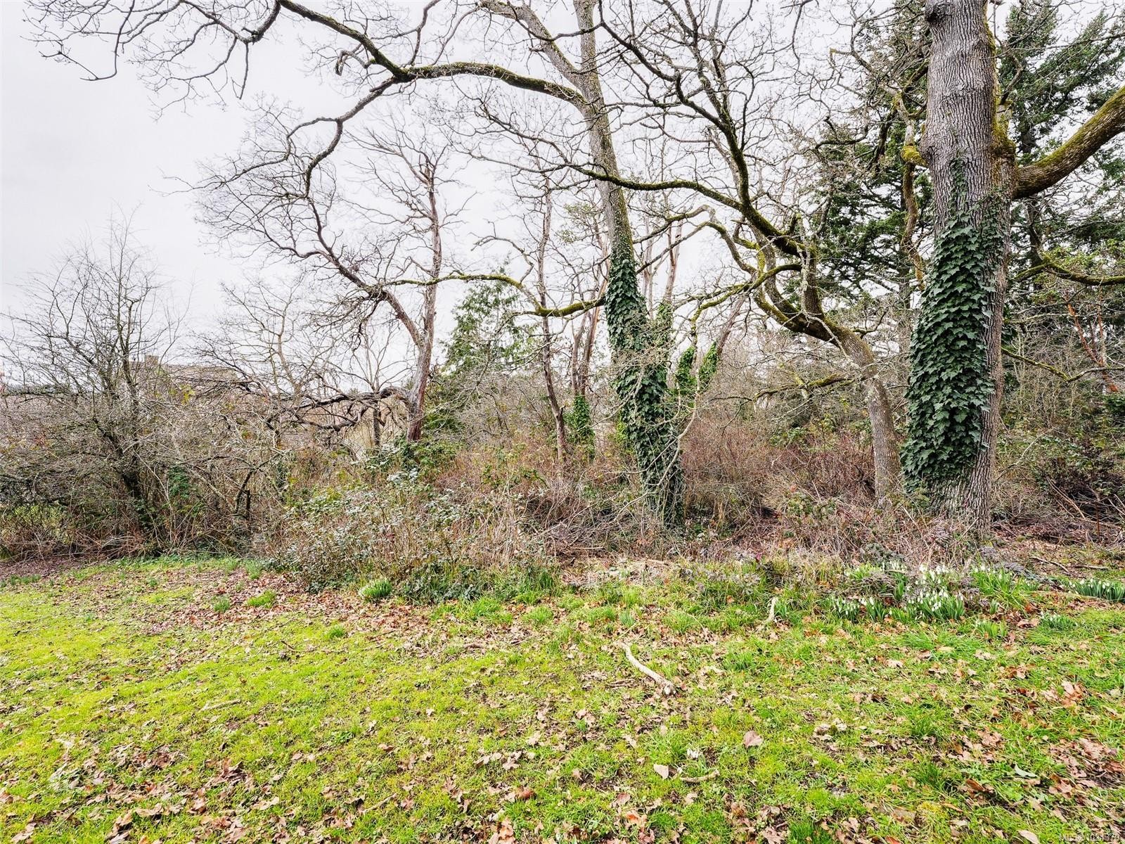 24 Gorge Rd East, Victoria, BC